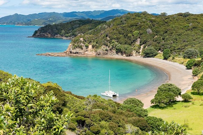 Island Hopper Day Cruise - sailing to wildlife sanctuary island - 6 hr cruise - The Paihia Start: Meeting at Barefoot Sailing Adventures