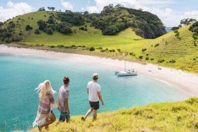 Island Hopper Day Cruise - sailing to wildlife sanctuary island - 6 hr cruise - Price and Inclusions: What You Pay for Feels Fair