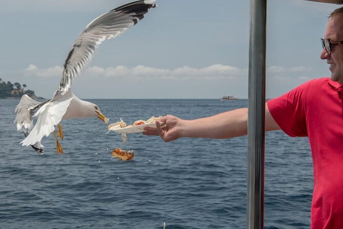 Island Hopping & City Walls Cruise with Food and Open Bar - Practical Tips: What to Bring and How to Stay Comfortable