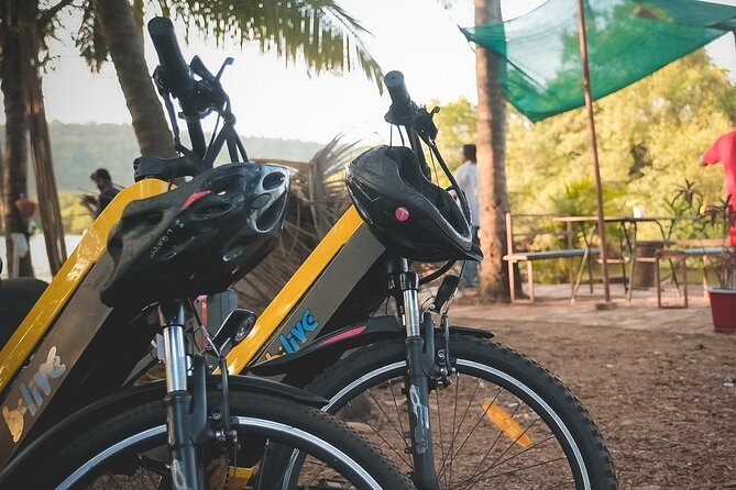 Island Hopping: Day E-Bike Exploration - Vanxim Island Backwaters by Motorboat: Local Fishing Trade from the Water