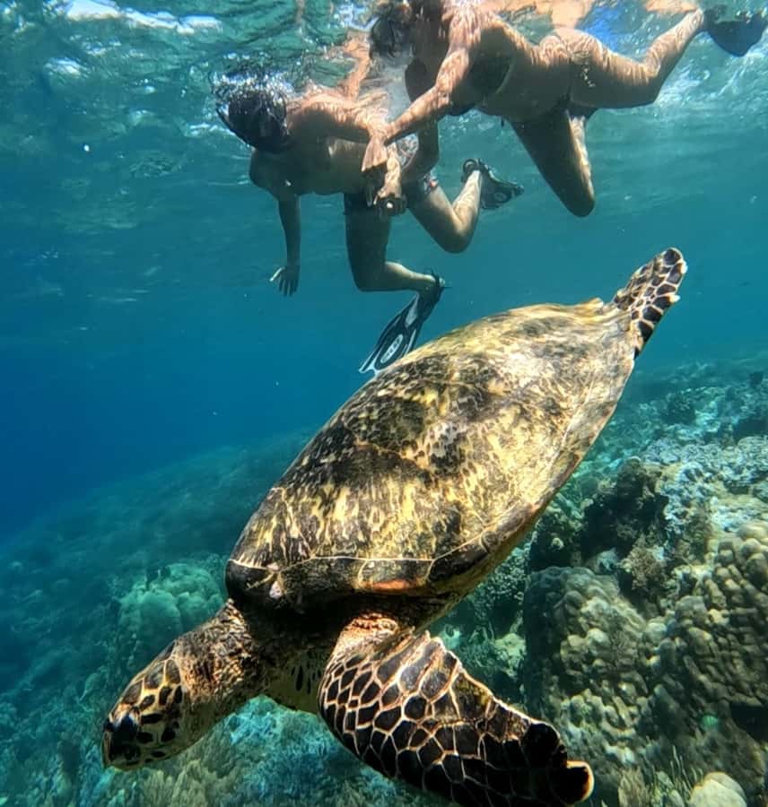 Island Hopping Gili Asahan, Gede, Rengit, Layar & Goleng - Gili Goleng: Photo Stops, Beach Time, and the Freedom to Wander