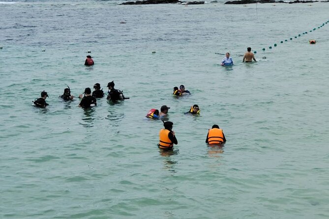 Island Hopping ( Manukan & Sapi Island ) From Kota Kinabalu - Manukan Island: Short, Active, and a Different Coastline Feel