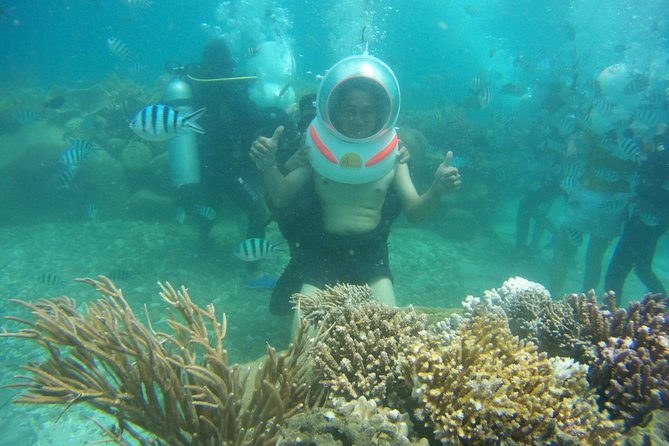 Island Hopping Plus Sea Walking Nha Trang - Why Hon Mun Marine Protected Area is worth the trip