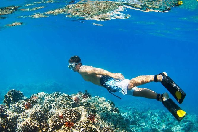 Island Hopping Tour (2 Island) From Kota Kinabalu - Snorkeling Reality Check: When the Water Delivers (and When It Doesn’t)