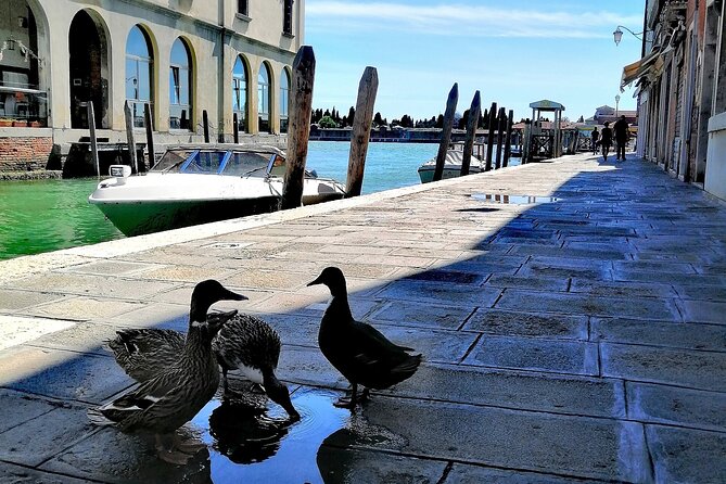 Island Hopping Tour: Mazzorbo, Burano and Murano - How the Mazzorbo–Burano–Murano loop works in 4.5 hours