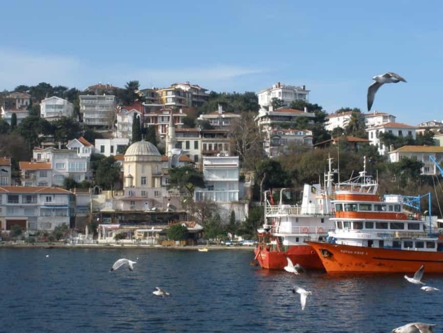 Istanbul Prince Island Cruise with Lunch & Free Time - Princes’ Islands by ferry: the vibe you’re actually signing up for