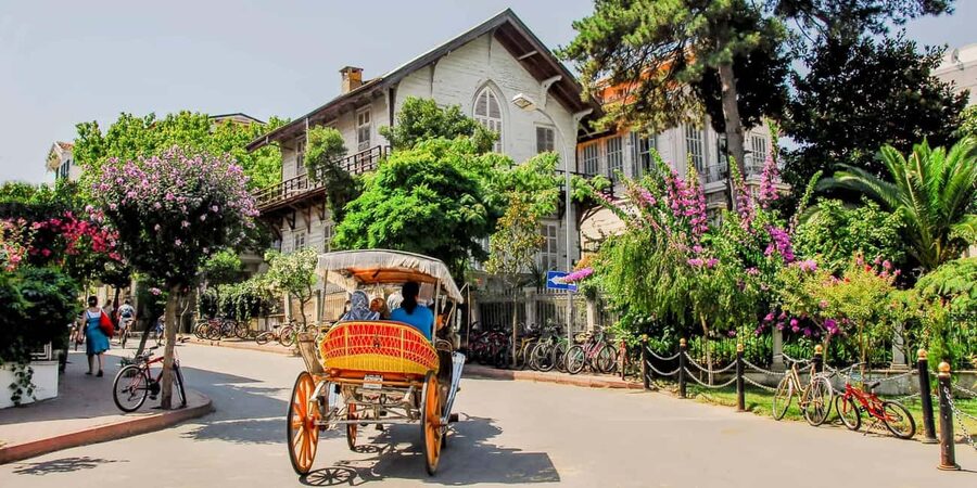 Istanbul Prince Island Cruise with Lunch & Free Time - Price and value: why it can be a smart deal at $24