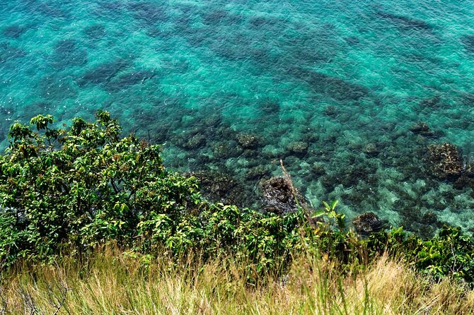Khai Island Speedboat: Island Hopper Trip - Stop 3: Khai Nai Island, cat-feeding beach break (and photo time)