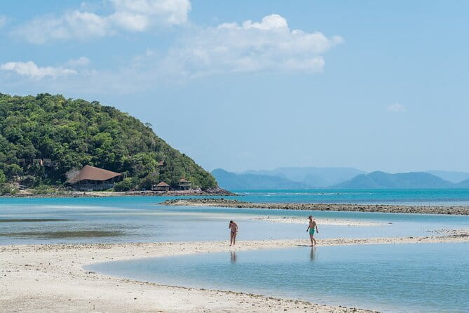Koh Samui: Island Hopping Adventure in Coral and Pig Island - Key highlights you’ll actually feel during the day