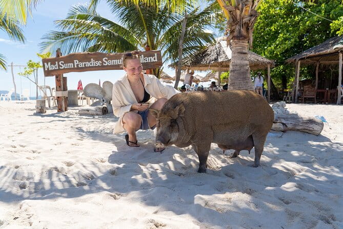 Koh Samui: Island Hopping Adventure in Coral and Pig Island - Getting to Thong Krut Pier and what starts the day
