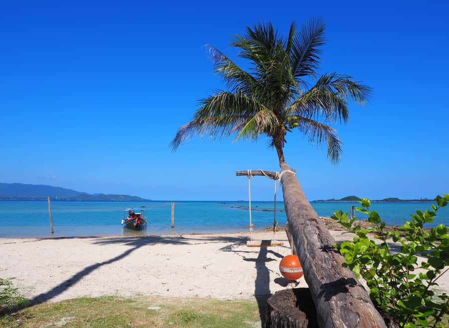 Koh Samui: Private Island Hopping Boat Tour - How The 7-Hour Schedule Typically Feels