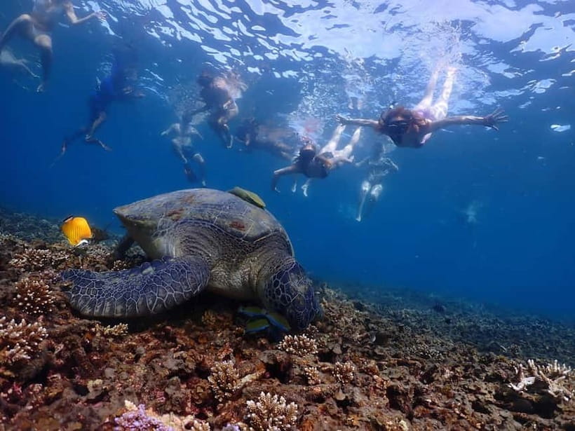 Koh Tao: Underwater Gems, Island Hopping & Snorkel Adventure - A 7-hour island-hopping loop from Mae Haad Pier