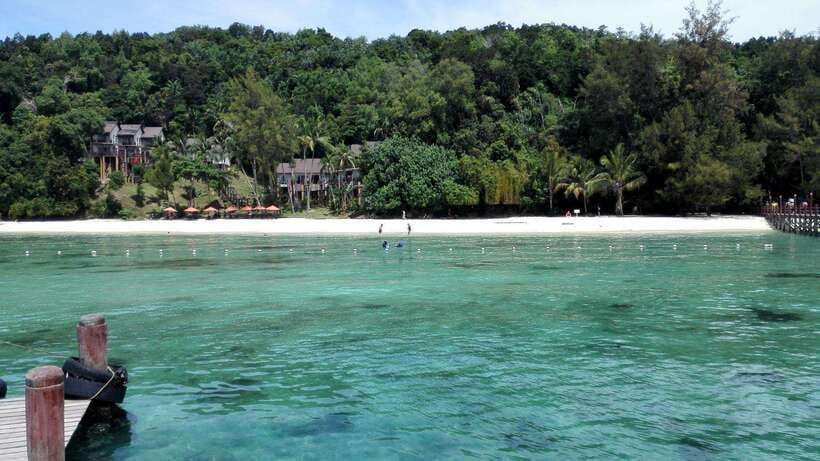 Kota Kinabalu: Snorkeling & Island Hopping Sapi & Manukan - The underwater world: what you should and shouldn’t expect