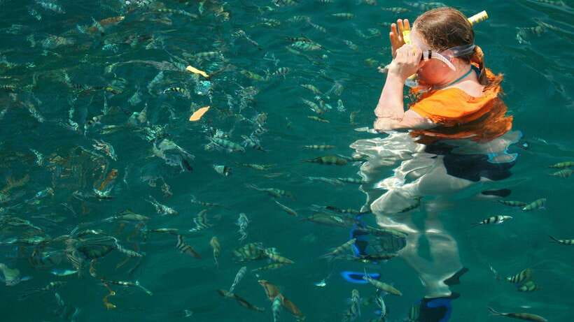 Kota Kinabalu: Snorkeling & Island Hopping Sapi & Manukan - What to bring so you’re comfortable the whole 7 hours