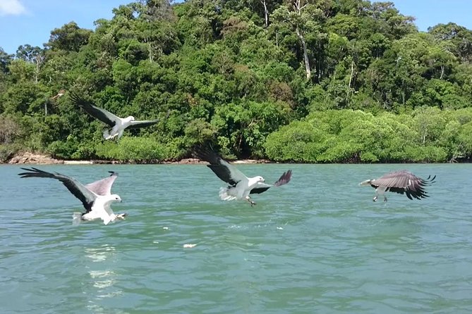 Langkawi Island Hopping Boat Tour with Return Transfer - Pickup and meeting points: door-to-door convenience (and the cruise-terminal workaround)
