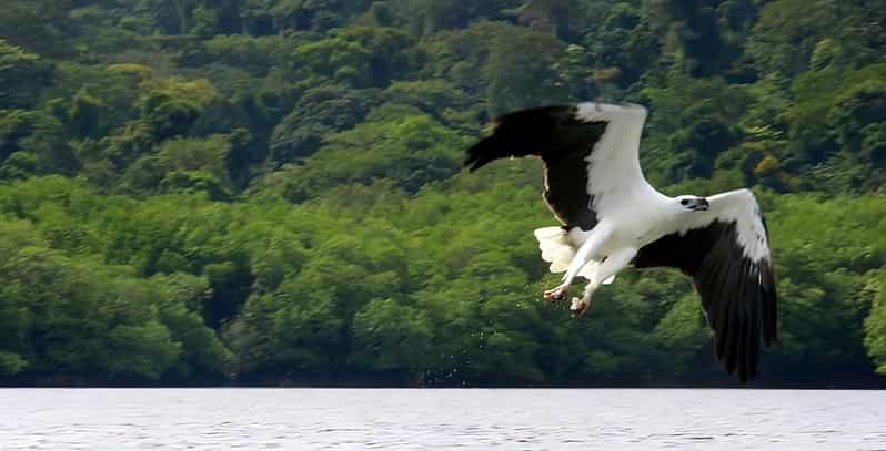 Langkawi: Island Hopping Shared or Private Boat Options - Underwater Time Around Langkawi: What You Can Expect to See