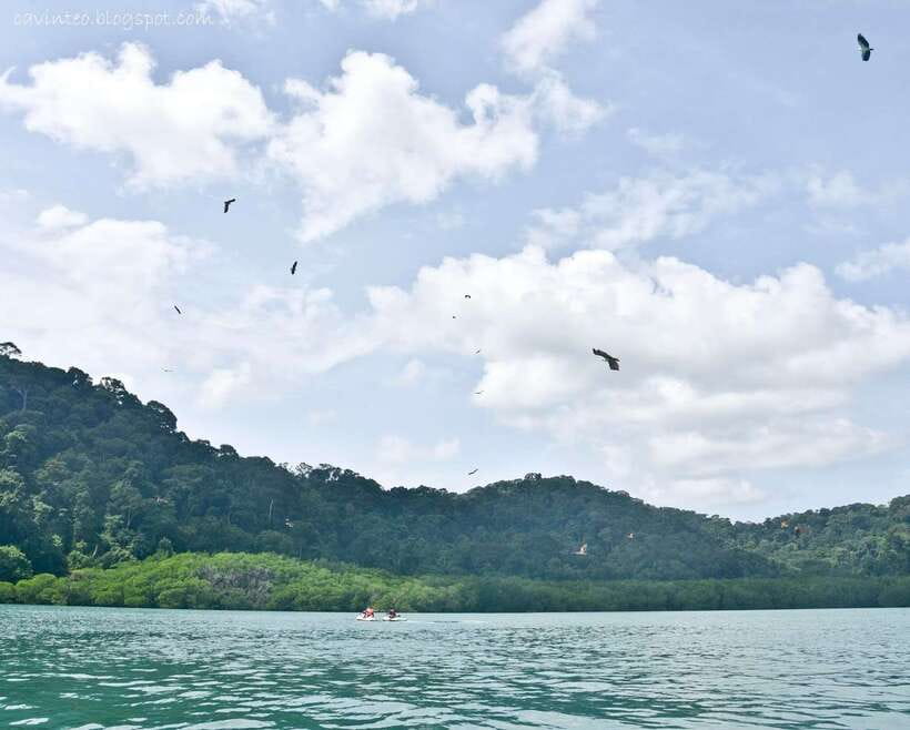 Langkawi: Island Hopping Tour - Pulau Singa Besar: Wildlife Sanctuary Energy Without the Hardcore Hiking