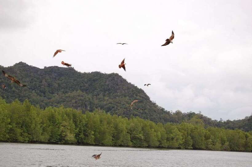 Langkawi: Island Hopping Tour - The Boat Ride + Weather Reality: Go with the Conditions