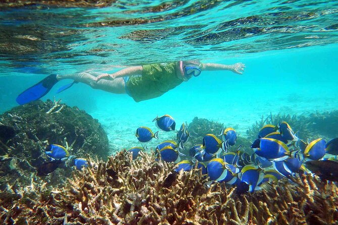 Maafushi: Full Day Snorkeling and Island Hopping Experience - Key highlights to look forward to