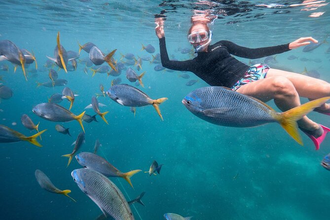 Maafushi: Full Day Snorkeling and Island Hopping Experience - Stop 2: Gulhi Island’s Bikini Beach, swing photos, and a beach break that’s actually scenic