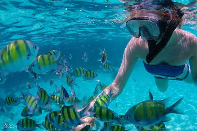 Mactan Cebu Island Hopping with Lunch - Gilutungan, Caohagan, Nalusuan - Getting to Cordova RORO Port (and why timing matters)