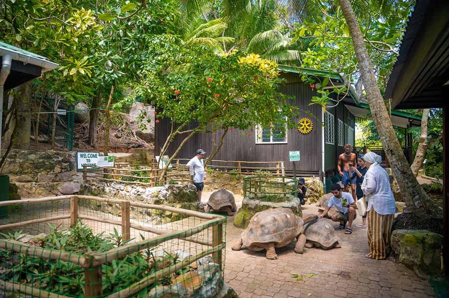 Mahé: Saint-Anne Marine Park and Moyenne Island Cruise - Getting to the boat: shuttle pickups and the timing you should plan for