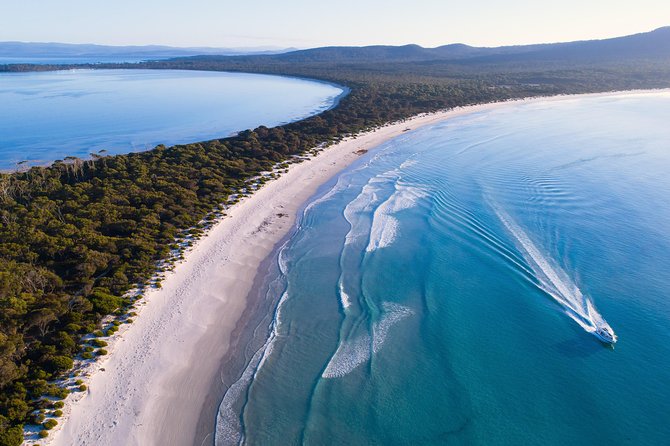Maria Island Cruise and Guided Walk Day Tour with Lunch and Drinks - First Stop: From Brooke Street Pier to the Boat Day Machine