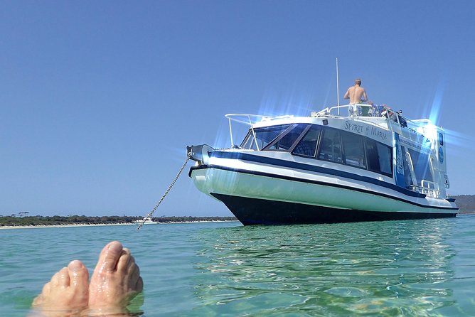 Maria Island Cruise and Guided Walk Day Tour with Lunch and Drinks - Wildlife Checklist That Actually Works on Maria Island