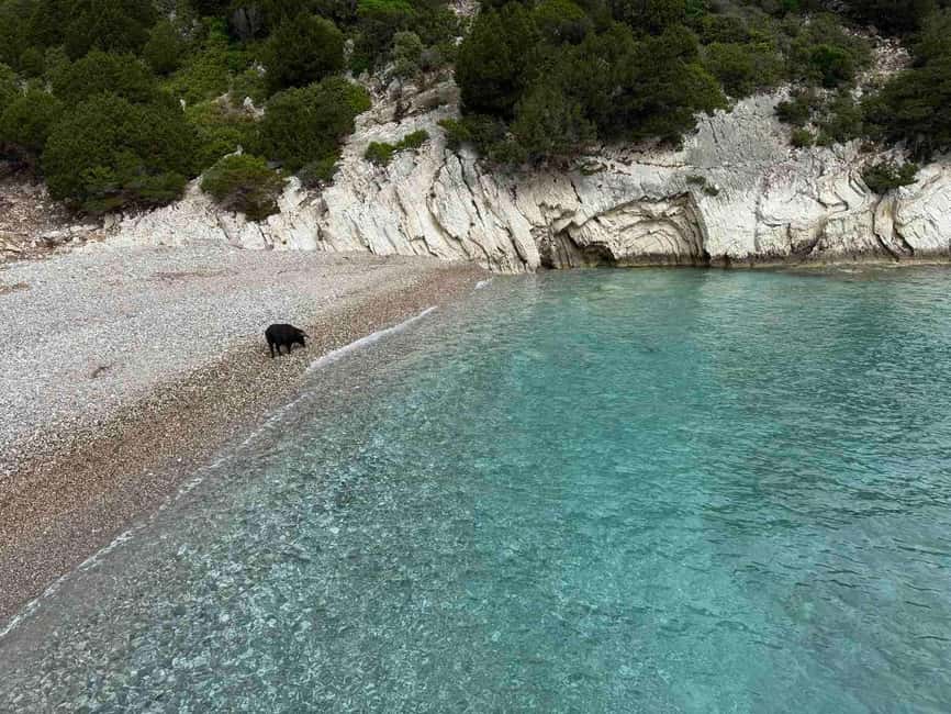 Meganisi & Atokos Island Cruise - Setting off from Nidri: where your day starts
