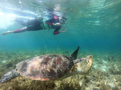Moalboal: Sardine Run, Turtles and Pescador Island Hopping - Pickup across Cebu City and beyond: comfort plus one less headache