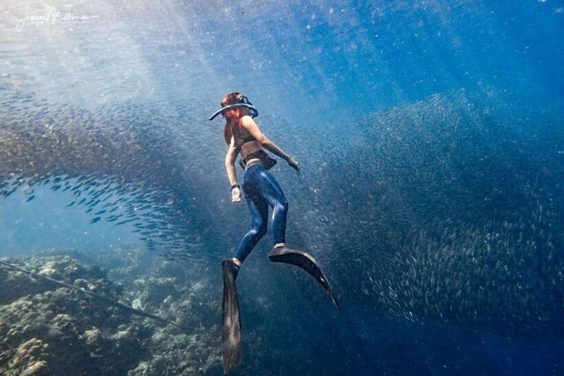 Moalboal: Scuba Diving and Pescador Island Hopping - First Check-In and the Local Base Moment