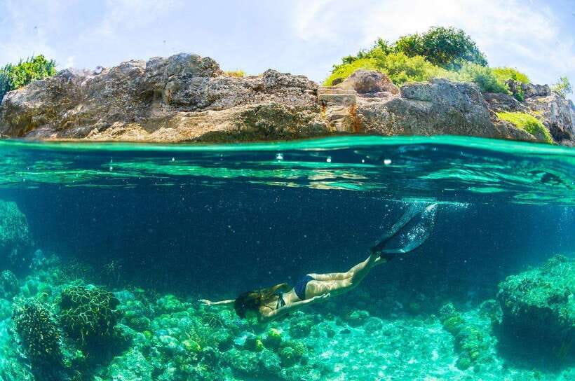 Moalboal: Scuba Diving and Pescador Island Hopping - Pescador Island: Sardines, Turtles, and Coral Formations