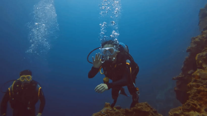 Moalboal: Scuba Diving and Pescador Island Hopping - Price and Value: Is $168 a Good Deal?