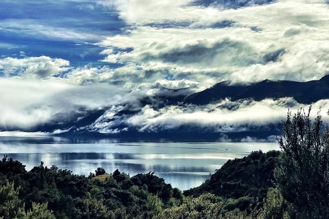 Mou Waho Island Cruise and Guided Nature Walk - The Roys Bay return: timing for a real break