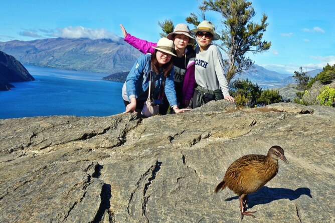 Mou Waho Island Cruise & Self-Guided Nature Walk - Lake Wanaka cruise time: Ruby Island, Treble Cone, and the Matukituki area angles