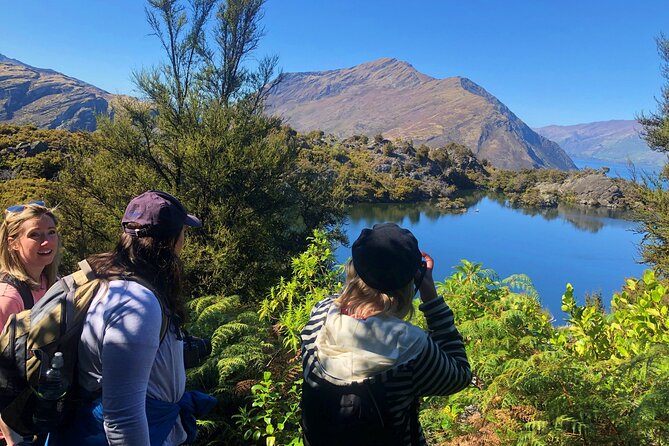 Mou Waho Island Cruise & Self-Guided Nature Walk - What you’re really paying for: conservation access plus a well-paced Wanaka day
