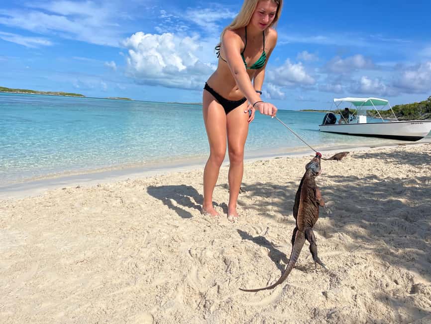Nassau: 3 Islands Boat w/ Swimming Pigs, Snorkeling & Turtle - Rose Island Beach-Bar Time: Lunch, Drinks, and a Bit of Freedom