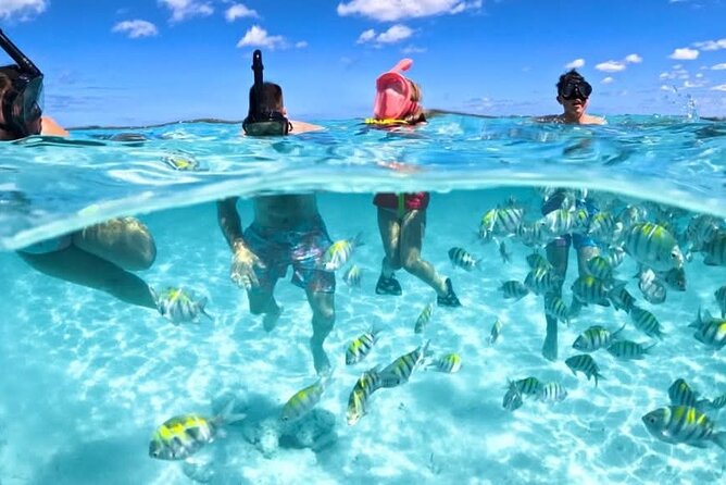 Nassau: 3 islands Pigs,Turtles,Snorkel & Beach Club with lunch - Four Islands in Four Hours: What This Tour Really Covers