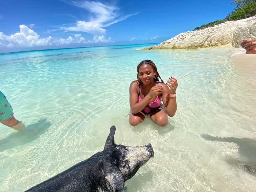 Nassau: 3 Islands Tour, Snorkel, Pig Beach, Turtles & Lunch - Key things I’d circle on this Nassau 3 Islands tour