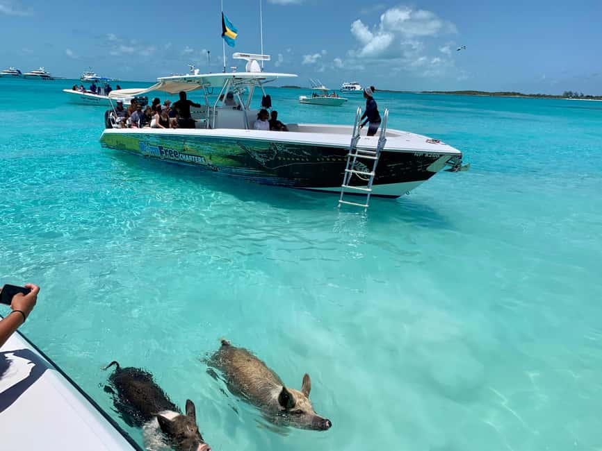 Nassau: Discover Exuma Island Hopping and Swimming Pigs Tour - Key things that make this tour worth your time