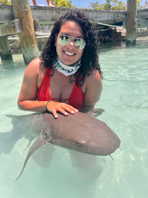 Nassau: Discover Exuma Island Hopping and Swimming Pigs Tour - A powerboat day that hits Exuma’s big moments