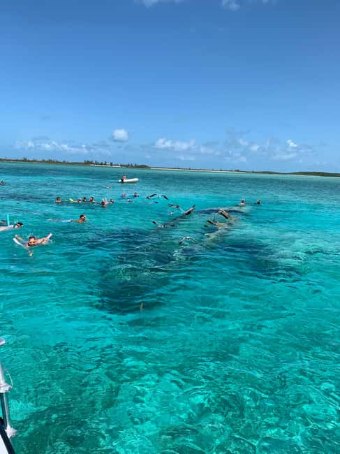 Nassau: Discover Exuma Island Hopping and Swimming Pigs Tour - Lunch on Exuma: buffet, beer, and a breather