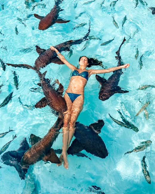 Nassau: Discover Exuma Island Hopping and Swimming Pigs Tour - Snorkeling Pablo Escobar’s sunken plane