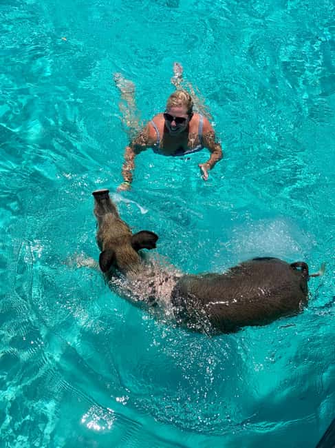 Nassau: Discover Exuma Island Hopping and Swimming Pigs Tour - Price and what you’re really buying for $489