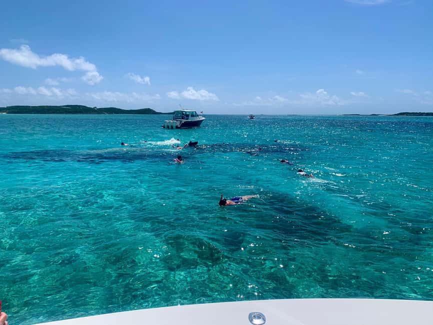Nassau: Discover Exuma Island Hopping and Swimming Pigs Tour - Group size, pacing, and comfort on a shared tour