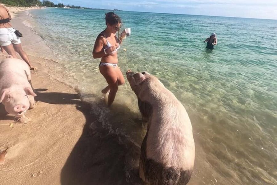 Nassau: Island Hopping Boat Trip with Lunch & Drinks - Who This Tour Fits Best (And Who Should Rethink It)