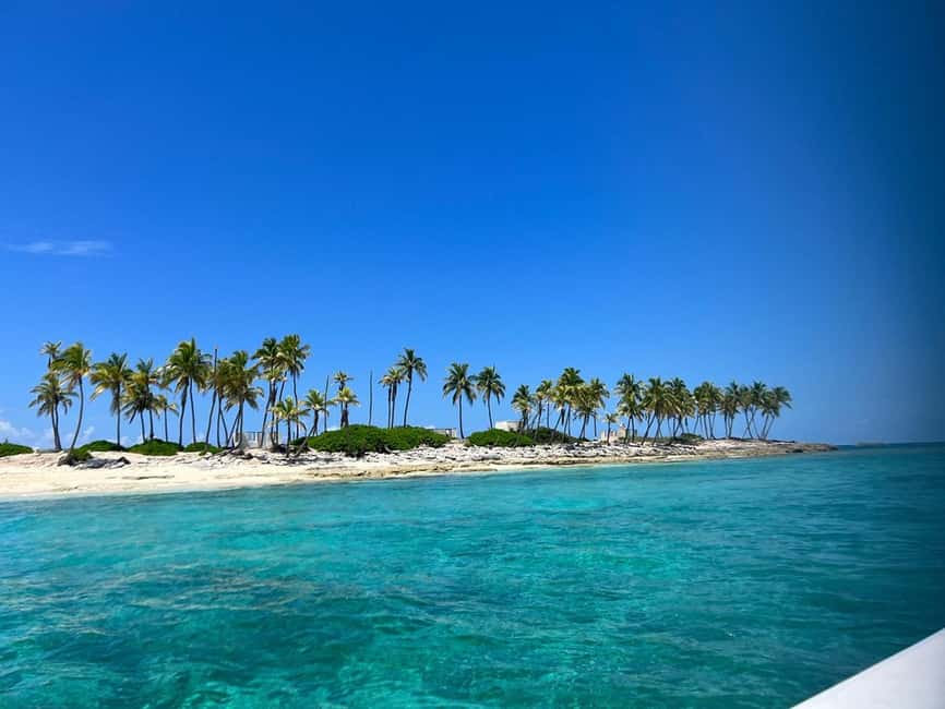 Nassau: Island Hopping Boat Trip with Lunch & Drinks - Pig Beach on South Andros: The Moment Most People Remember