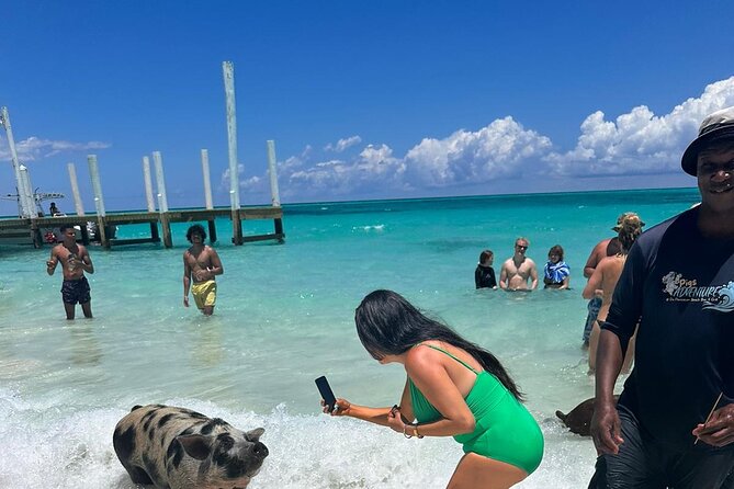 Nassau, Private Swimming Pig, Island Hopping, Snorkeling, Turtles - Private Bahamas Island Hopping from Nassau’s Bay Street Meeting Point