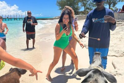 Nassau, Private Swimming Pig, Island Hopping, Snorkeling, Turtles - Rose Island Hour: Snorkeling, Beach Time, and Island Break Calories