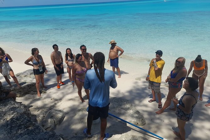 Nassau, Private Swimming Pig, Island Hopping, Snorkeling, Turtles - On-Board Comfort: Speedboat Ride, Turtle Gear, Drinks, and Small Prep Wins